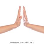 5月27日彩票开奖结果查询与中奖号码公布 safx16k47