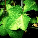 MLB美国职业棒球大联盟精彩赛事现场直播 akhqawqq