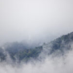 ment直播全新启航:探索互动娱乐新纪元 m5t51xfh4