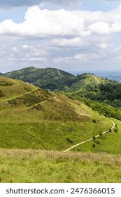 MSN直播平台全新上线,精彩内容实时呈现 MSN直播平台全新上线,精彩内容实时呈现