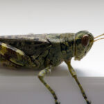 MotoGP摩托车赛在线直播:极速狂飙的视觉盛宴 ysi9sl